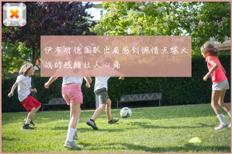 伊布对德国队出局感到惋惜点球大战的残酷让人心痛